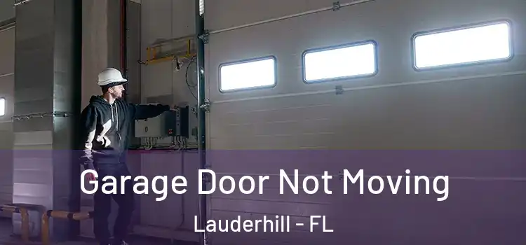  Garage Door Not Moving Lauderhill - FL