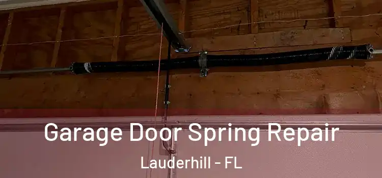  Garage Door Spring Repair Lauderhill - FL