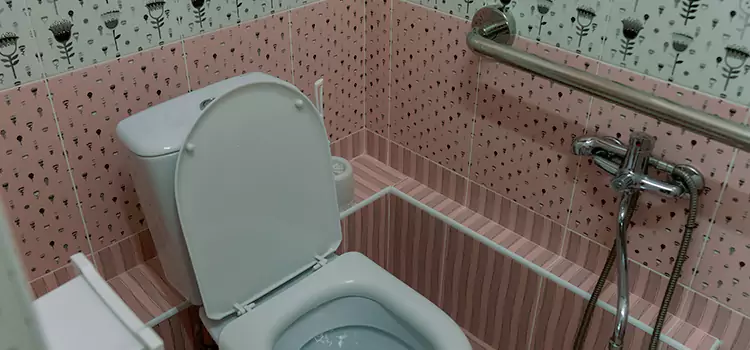 Meeting Diverse Needs With Accessible Restroom Solutions in Lauderhill, FL