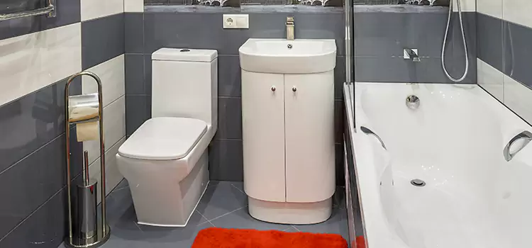 Hansgrohe Shaving Mirror Lauderhill